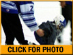 Skate-with-the-Waxers Night