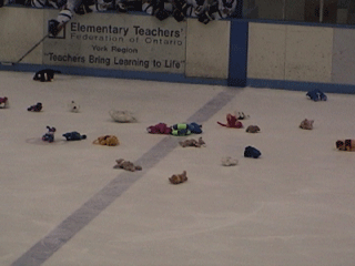 Some of the first stuffed animals thrown on to the ice, moments after Mark Menonte scored.